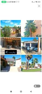 a collage of photos of a resort with a palm tree at Olivier 64 in Valras-Plage