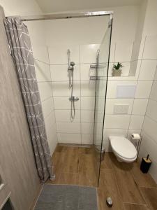a bathroom with a shower and a toilet at Apartmán ALEX Choceň in Choceň