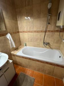 a bathroom with a bath tub and a sink at Greatforest apartman 2 in Debrecen