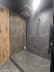 a bathroom with a shower with a glass door at RED Тематичні Апартаменти in Zhytomyr