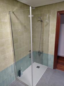 a shower with a glass door in a bathroom at Apartamento Gernika in Guernica y Luno +25 photos