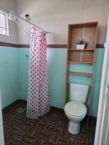 a bathroom with a toilet and a shower curtain at Casa confortável e central in Poços de Caldas