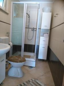 a bathroom with a toilet with a shower and a sink at Studio Cesarica in Cesarica