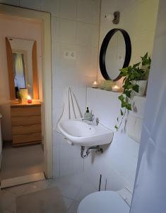 a bathroom with a sink and a mirror and a toilet at Ferienwohnung TALISA in Günzburg