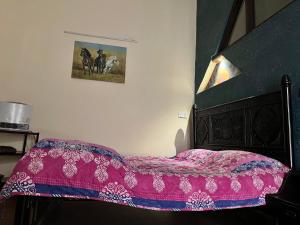 a bedroom with a bed with a pink comforter at Rooms In Central Rawalpindi in Rawalpindi