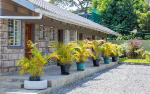 a row of potted plants sitting outside of a house at Lion Hill Place in Nakuru