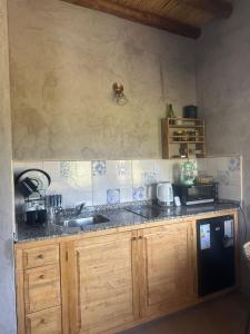 a kitchen with a sink and a counter top at Capitan de Ansilta in Calingasta