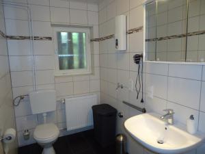 a bathroom with a sink and a toilet and a mirror at Haus am Burgberg in Frankenberg +4 photos