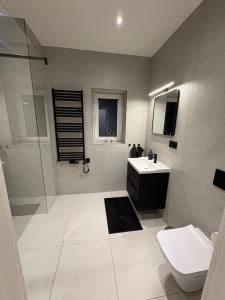 a bathroom with a toilet and a sink and a shower at Borówkowy domek in Janik
