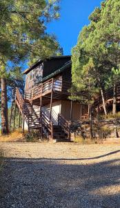 a large house with wooden stairs in front of trees at Guys Getaway Cabin in Ruidoso
