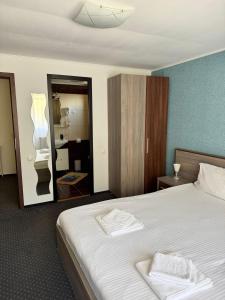 a bedroom with a large bed with a mirror at Complex SummerTime in Cavnic