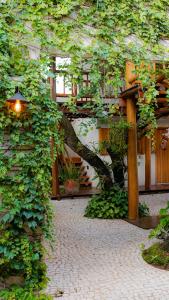 a building with a ivy covered wall and a walk way at Pousada Caraíba in Rifaina