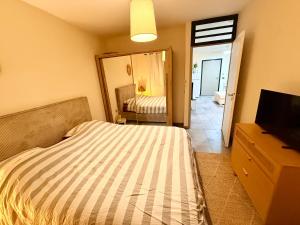 a bedroom with a bed and a tv and a mirror at Les Douces Nuits Saint Pierre in Saint-Pierre +2 photos