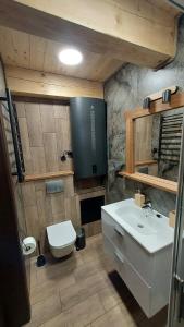 a bathroom with a white sink and a toilet at Domek u Hillów in Stronie Śląskie +16 photos