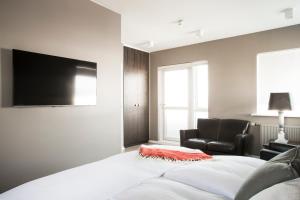 TV a/nebo společenská místnost v ubytování Hotel Ódinsvé