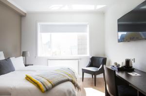 TV a/nebo společenská místnost v ubytování Hotel Ódinsvé