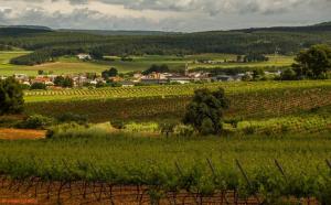a view of a field with a town in the background at Ca l'Agüela -Fontanars dels Alforins in Fontanares