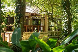 a house in the middle of a forest at Chan-Kah Resort Village in Palenque