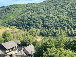an aerial view of a house in front of a mountain at Ferienhaus an der Burg Coraidelstein in Klotten