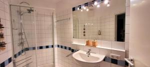 a bathroom with a sink and a shower and a mirror at Ferienwohnung De Priel in Dorum-Neufeld