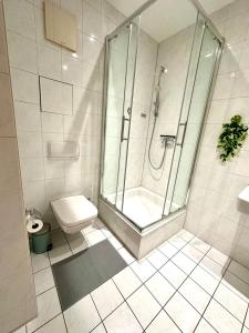 a bathroom with a shower and a toilet at Bright temporary apartment in Schkeuditz in Schkeuditz