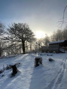 ein schneebedecktes Feld mit Bäumen und einem Gebäude in der Unterkunft Fronfetyn in Aberystwyth