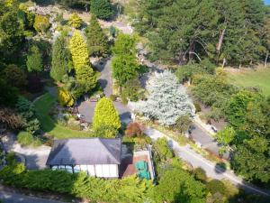 an overhead view of a park with trees and a building at Milverton House in Llandudno