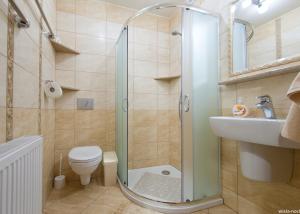 a bathroom with a shower and a toilet and a sink at Willa Fox - Wisła Centrum in Wisła