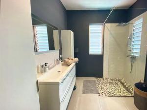 a bathroom with a sink and a shower with a mirror at Holiday Haven - Jan Thiel in Jan Thiel +1 photo