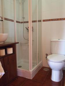 La salle de bains est pourvue d'une douche, de toilettes et d'un lavabo. dans l'établissement Fuente Del Arca, à Cañamares