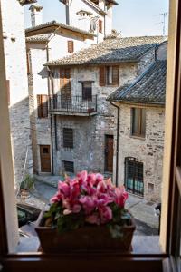 wazon różowych kwiatów na parapecie w obiekcie Casa Flora w mieście Spello