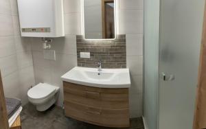a bathroom with a sink and a toilet at Appartement HochOben in Planneralm