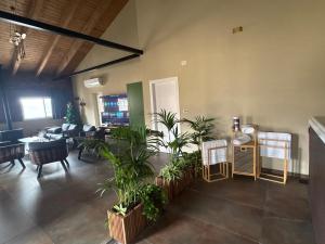 a room with potted plants in the middle of it at Alpinia in Majdal Shams