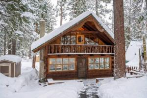 a log cabin in the woods in the snow at 3BR Mountain Cabin-Near Beach & Slopes in Homewood