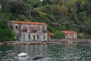 a couple of houses in the water with animals in the water at Villa Sofia in Lerici