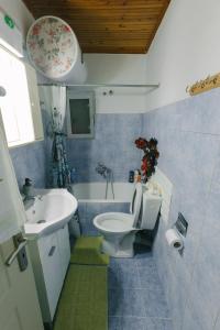 un bagno con WC e lavandino di Cuckoo's view a Análipsis Altre 16 foto