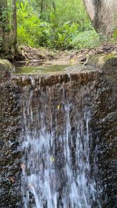 a waterfall in the middle of a forest at Made in Roça in Piedade