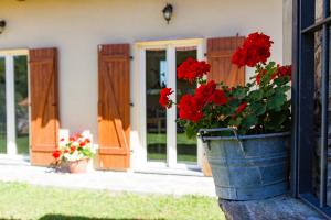 A garden outside Cascinetta32