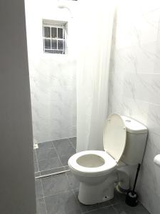 a white toilet in a bathroom with a window at Lion Hill Place in Nakuru +36 photos