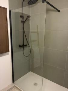 a shower with a glass door in a bathroom at Chez nous Mulhouse - Hyper Centre - Parking - Balcon - Netflix in Mulhouse