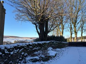 a tree in the snow next to a stone wall at The Bronte Moor Retreat - 3 Bed, Pet Friendly Cottage - Stunning Views - Hot Tub in Heptonstall