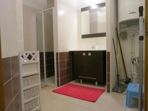 a bathroom with a sink and a mirror and a red rug at Les Allobroges C03 in Guillestre