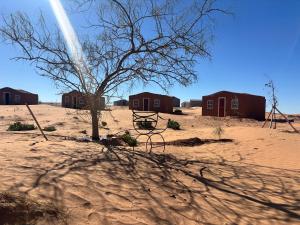 a tree in the middle of a desert with houses at Bivouac La Dune Blanche in Mhamid