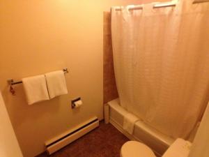 a bathroom with a shower curtain and a toilet at Galaxy Motel in St. Paul