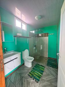a green bathroom with a toilet and a shower at Dream lodge in Rangiroa +41 photos