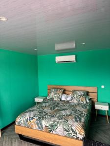 a green bedroom with a bed and a green wall at Dream lodge in Rangiroa