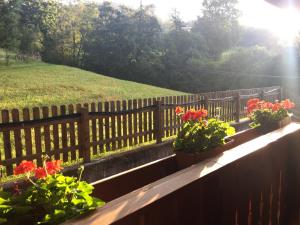 Gallery image of Unterweger Hof in Avelengo