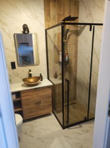 a bathroom with a shower and a sink at Apartament Bieszczady in Lesko +6 photos