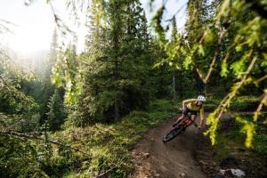 a person riding a bike on a dirt trail at Alpine Townhouse - Åre Valley Lodges in Åre