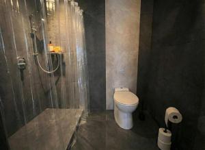 a bathroom with a shower and a toilet in it at Wohlfühlapartment GUXHAGEN- nähe Bahnhof & A7, schnell in Kassel in Guxhagen